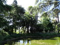 vignette Le jardin du Palais de Cristal