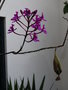 vignette Epidendrum - Orchide