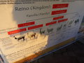 vignette Ferme de lamas, Alpaga, vigognes d'Awana Kancha