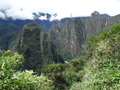 vignette Machu Picchu - vgtation