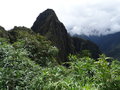 vignette Machu Picchu et Huayna Picchu - vgtation