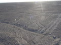 vignette Les lignes de Nazca - Nasca