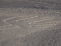 vignette Les lignes de Nazca - Nasca