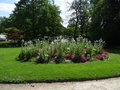 vignette Jardin des plantes de Nantes