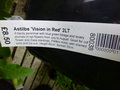 vignette Astilbe 'Vision in Red'