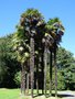 vignette Trachycarpus fortunei - Palmier de Chine