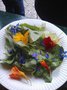vignette Mesclun - Fleurs comestibles et feuilles comestibles