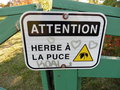 vignette Panneau 'Attention herbe  la puce'