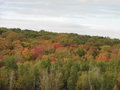 vignette Canada - les couleurs d'automne