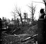vignette 01 Les ruines du jardin botanique de Brest  la sortie de la guerre