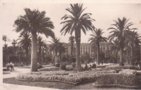 vignette Carte postale ancienne - Nice, le jardin albert 1er