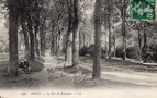 vignette Carte Postale Ancienne - Brest, le bois de Boulogne