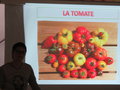 vignette La culture de la Tomate de A  Z
