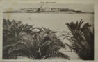 vignette Carte postale ancienne - Dinard, vue de la palmeraie