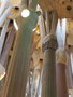 vignette La Sagrada Familia,  piliers de la nef centrale