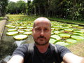 vignette Jardin botanique Sir Seewoosagur Ramgoolam (Pamplemousses) - Victoria amazonica