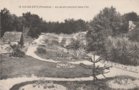 vignette Carte postale ancienne - Le jardin exotique de l'ile de Batz