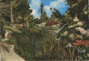 vignette Carte postale ancienne - Le jardin exotique de l'ile de Batz