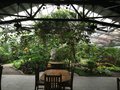 vignette Charleston - Jardin 'Magnolia Plantation' - La serre