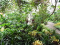 vignette Charleston - Jardin 'Magnolia Plantation' - la serre