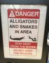 vignette Danger ! Alligators et serpents