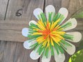 vignette Fleur en plastique pour dcoration d'un bac du jardin phmre de Brest