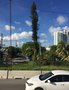 vignette Miami