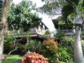 vignette Cendana Resort and Spa  Ubud