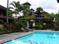 vignette Cendana Resort and Spa  Ubud - Piscine