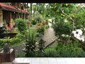 vignette Cendana Resort and Spa  Ubud