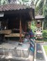 vignette Visite dans une famille Balinaise - crmonie des offrandes