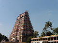 vignette Le temple de Shiva Nataraja - Chidambaram