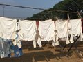 vignette Cochin - Cochin - Fresque  l'entre du lavoir, lanvandier et lavandires au travail dans leur box numrot, schage sur fil en fibre de coco sans pince  linge