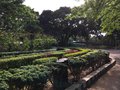vignette Bangalore - Jardin botanique