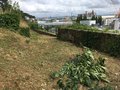 vignette Jardin Extraordinaire de Brest 2018 - 08