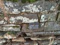 vignette Etiquette botanique dans mur en pierres sches