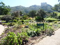 vignette Jardin Botanique de Kirstenbosch