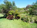 vignette Jardin Botanique de Kirstenbosch