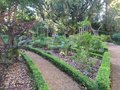 vignette Jardin botanique de Stellenbosch