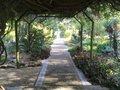 vignette Jardin botanique de Stellenbosch