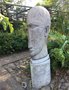 vignette Jardin botanique de Stellenbosch - 'Astromer's head' Anton Smith