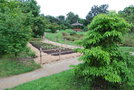 vignette Nantes, jardin coren