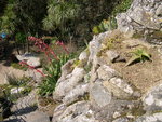 vignette Jardin Exotique de Roscoff, le rocher