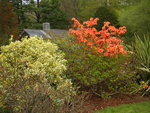 vignette Jardin Public du Stang Alar