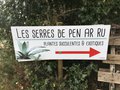 vignette La SHBL visite les serres de Pen Ar Ru  Ploudaniel (plantes succulentes et exotiques)