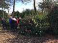 vignette La SHBL visite le Jardin de Fanch le Moal Park ar Brug  Plouisy