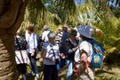vignette La SHBL visite le jardin de palmiers de Nathalie et Jol