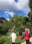 vignette La SHBL visite larboretum de Kilmacurragh