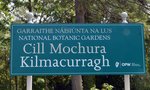 vignette La SHBL visite larboretum de Kilmacurragh