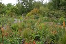 vignette La SHBL visite le jardin de Jimi Blake - Hunting Brook garden